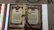 Утечка информации об инструкции к Diablo III..?